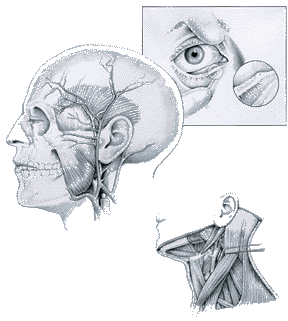 medical Illustrations